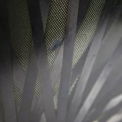 Lightweight Autobahn Tubular Rear Disc Wheel - Rim Brake -TT cykler Salgsbutik 8T1A9346