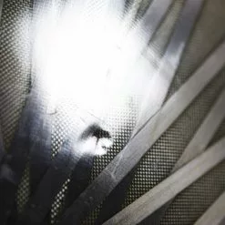 Lightweight Autobahn Tubular Rear Disc Wheel - Rim Brake -TT cykler Salgsbutik 8T1A9579